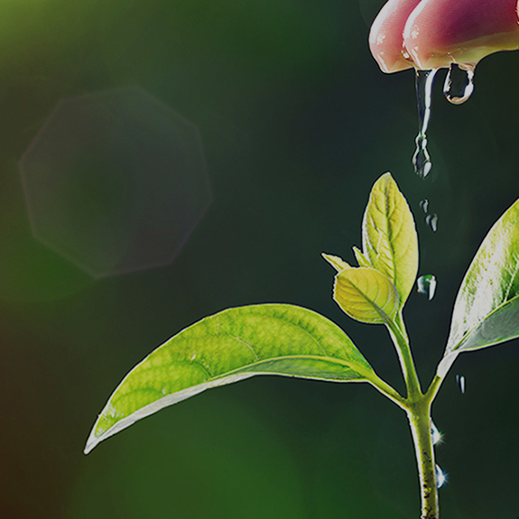 ×ðÁú¿Ê±- ÈËÉú¾ÍÊDz«!