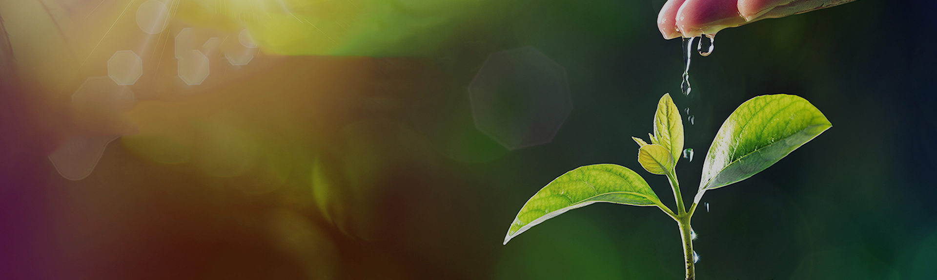 ×ðÁú¿Ê±- ÈËÉú¾ÍÊDz«!