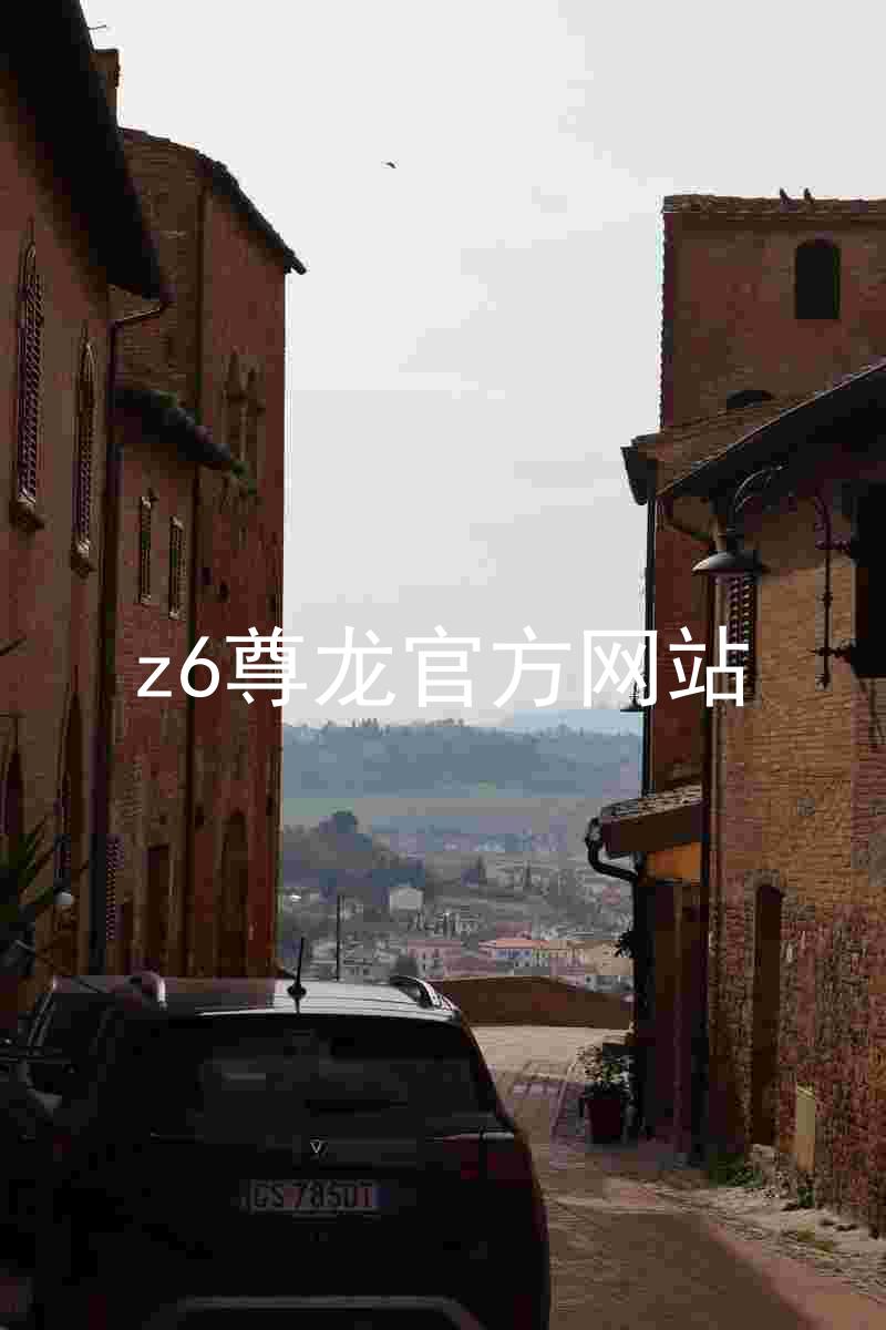 z6尊龙官方网站