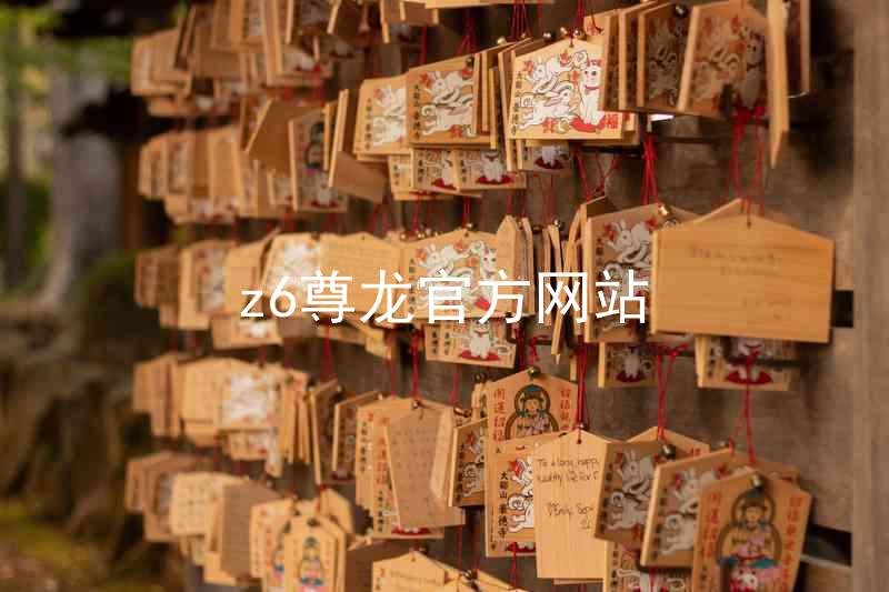 z6尊龙官方网站