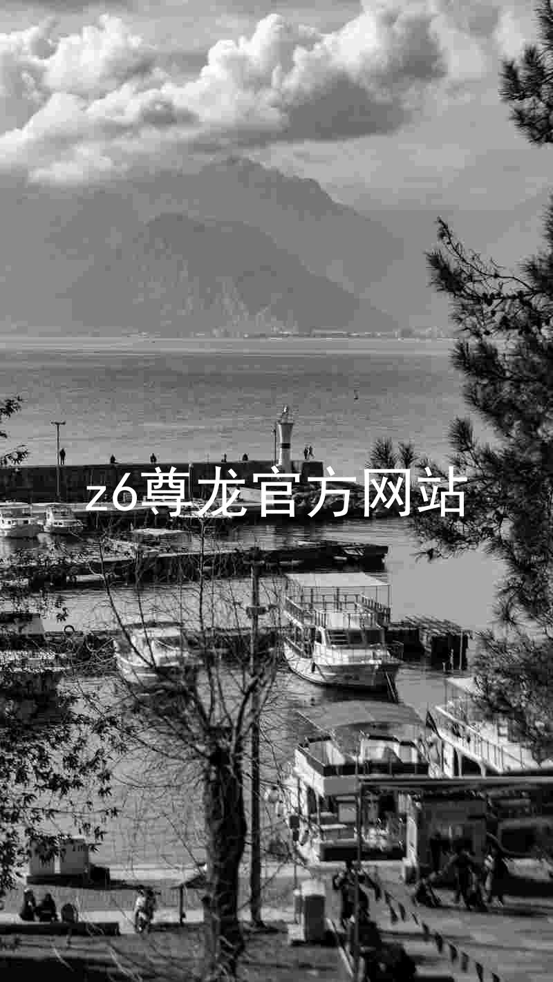 z6尊龙官方网站